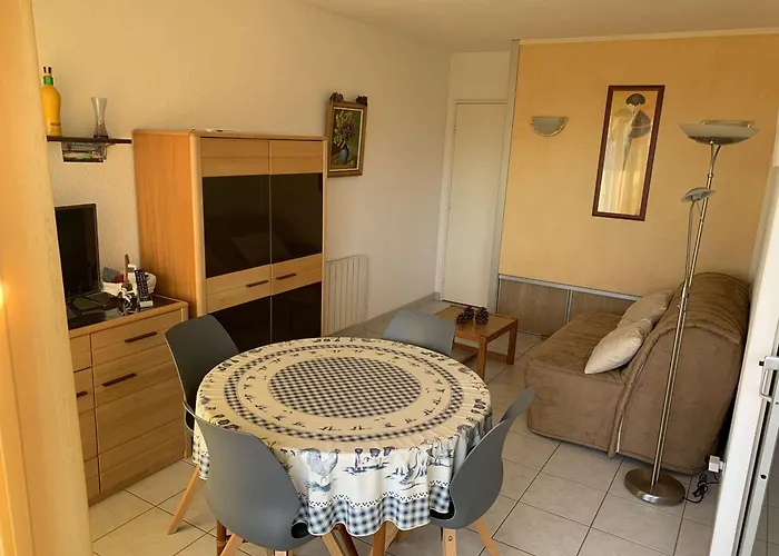 3 Pieces 6 Pers Avec Terrasse A Port Camargue - Fr-1-731-151 Appartement
