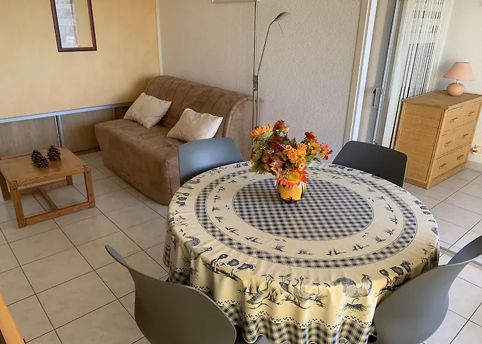 3 Pieces 6 Pers Avec Terrasse A Port Camargue - Fr-1-731-151