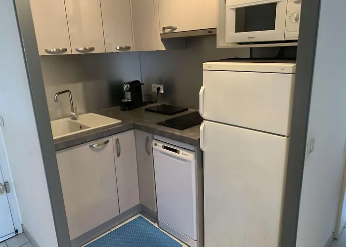 Appartement 3 Pieces 6 Pers Avec Terrasse A Port Camargue - Fr-1-731-151