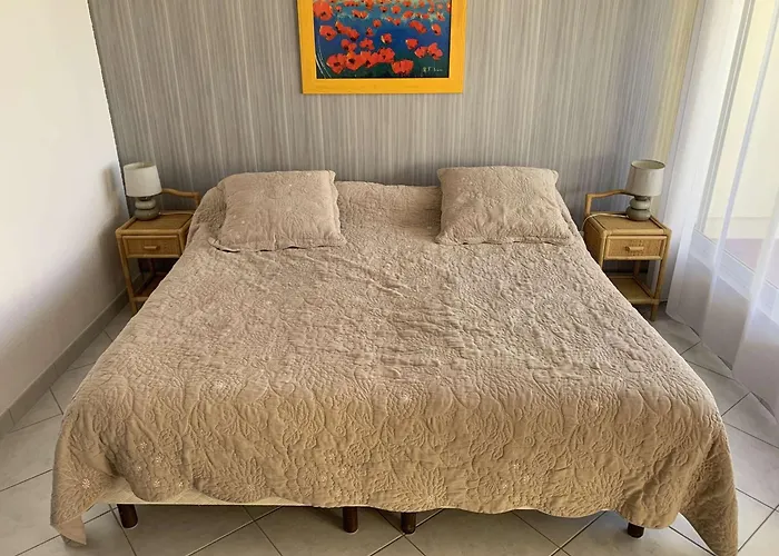 3 Pieces 6 Pers Avec Terrasse A Port Camargue - Fr-1-731-151 * Le Grau-du-Roi